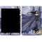 Cloak of Stars by Amy Brown iPad Skins